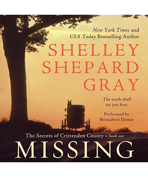 Missing: The Secrets of Crittenden County, Book One