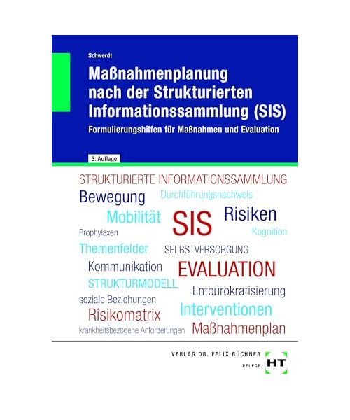 Maßnahmenplanung nach der Strukturierten Informationssammlung (SIS)