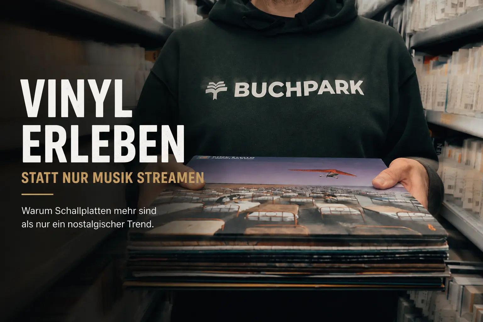 Vinyl erleben statt nur Musik streamen