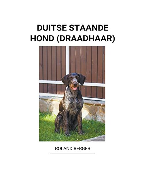 Duitse staande hond (draadhaar)