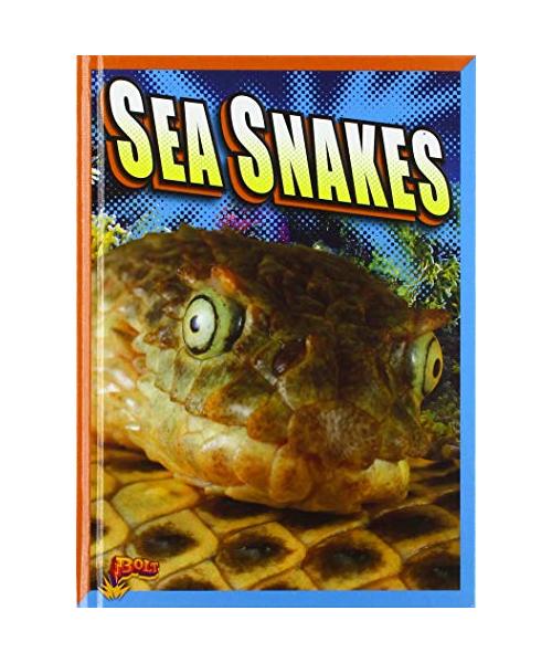 Sea Snakes