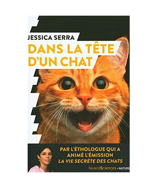 Dans la tête d'un chat