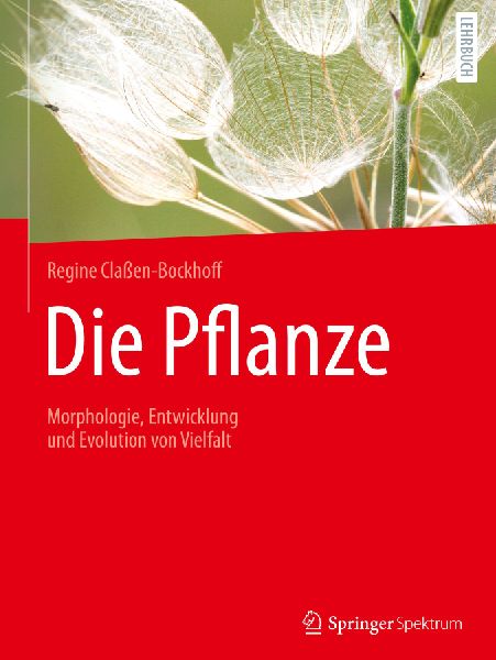 Die Pflanze