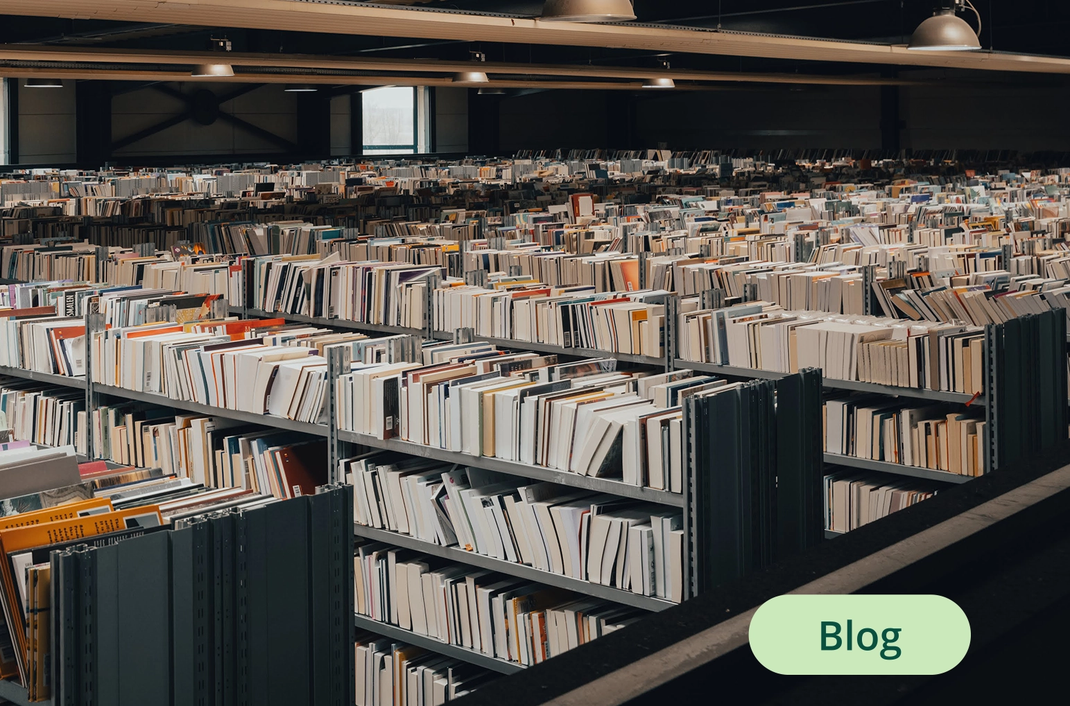 Lesen im digitalen Alltag
