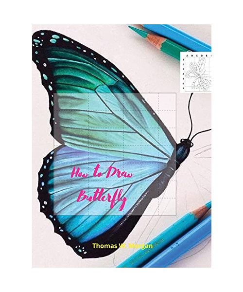 How to draw Butterfly: Butterfly Coloring and Activity Book For Kids Ages 5 and Up Easy and Fun Drawing Book for Boys, Girls and Kids Ages 5