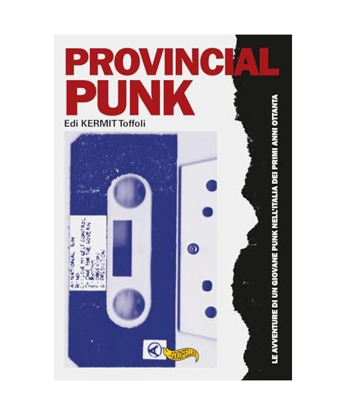 Provincial punk. Le avventure di un giovane punk nell'Italia dei primi anni ottanta
