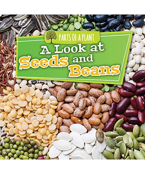 A Look at Seeds and Beans (Parts of a Plant)