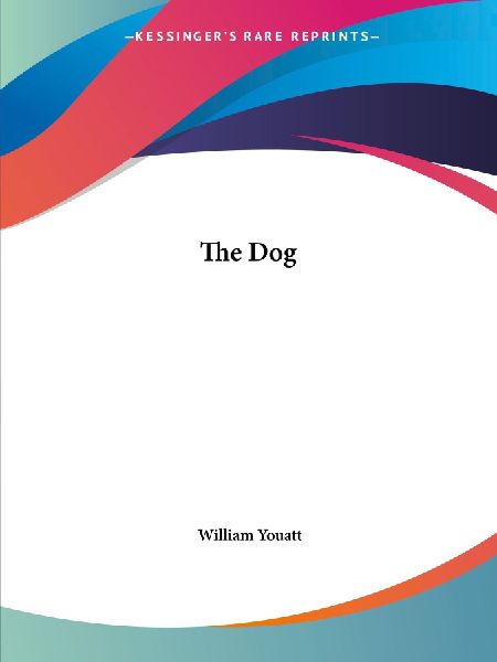 The Dog