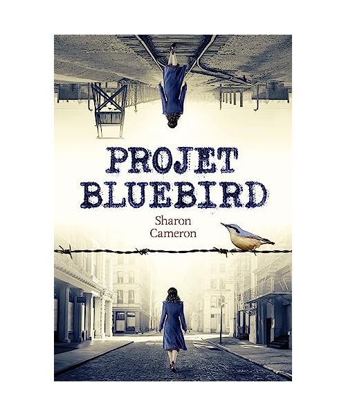 Projet Bluebird