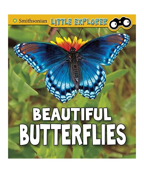 Beautiful Butterflies
