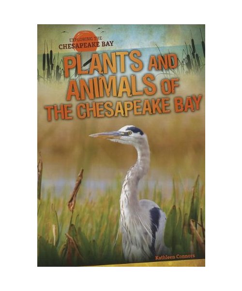 Plants and Animals of the Chesapeake Bay