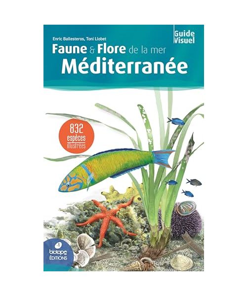Faune & flore de la mer Méditerranée - 2ème édition