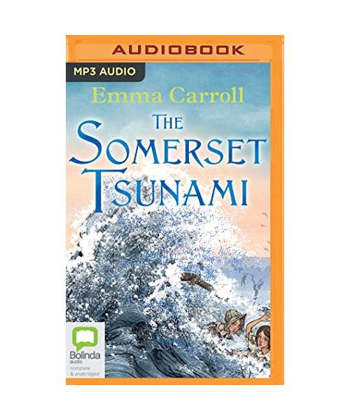 The Somerset Tsunami