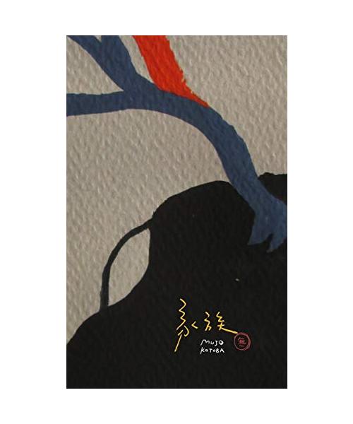 ¿¿ Gazer cover