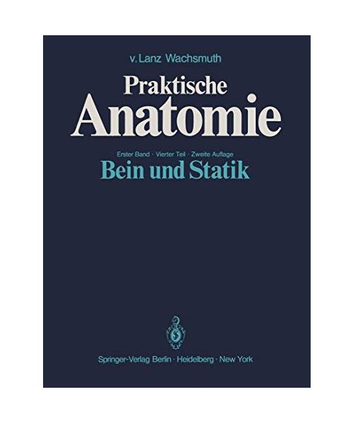 Bein und Statik