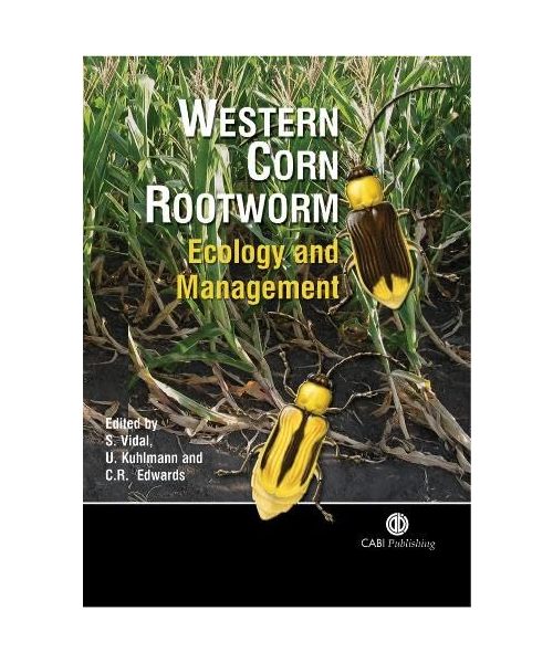 Western Corn Rootworm
