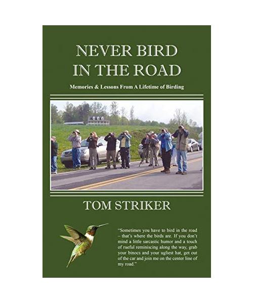 Never Bird In The Road