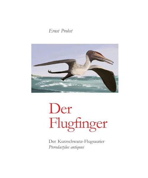 Der Flugfinger