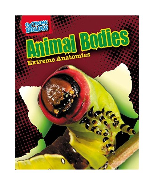 Animal Bodies: Extreme Anatomies