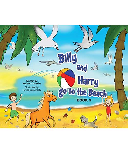 Billy and Harry go to the Beach