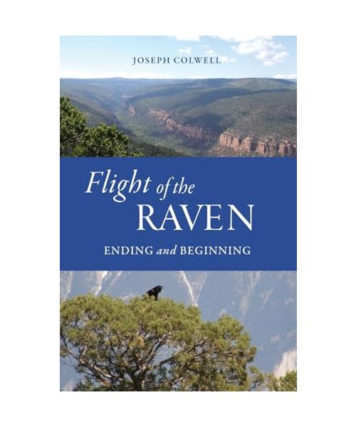 Flight of the Raven