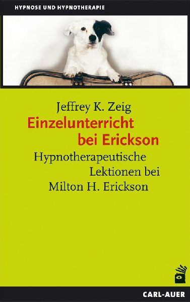 Einzelunterricht bei Erickson