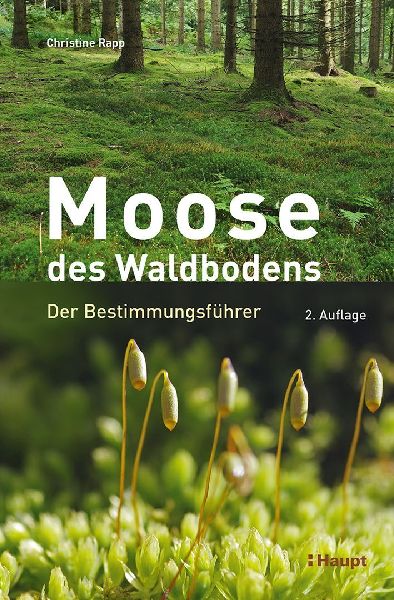 Moose des Waldbodens