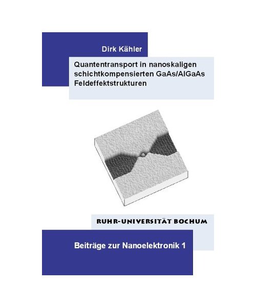 Quantentransport in nanoskaligen schichtkompensierten GaAs/AlGaAs Feldeffektstrukturen