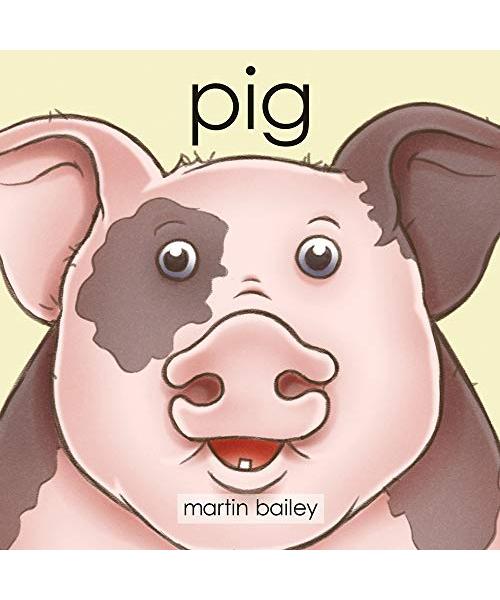 Pig