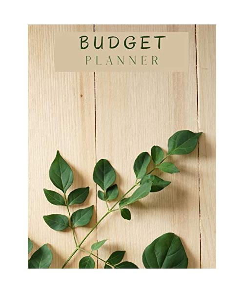 Budget Planner: Daily and Weekly Financial Organizer 8.5x11 100 pages