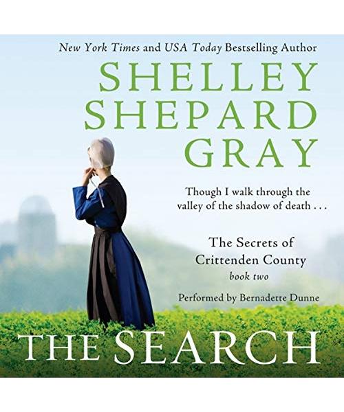 The Search (Secrets of Crittenden County, Band 2)