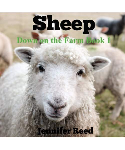 Sheep: Down on the Farm Book 1