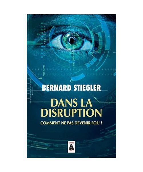 Dans la disruption: Comment ne pas devenir fou ?