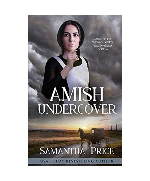 Amish Undercover (Amish Secret Widows' Society, Band 6)