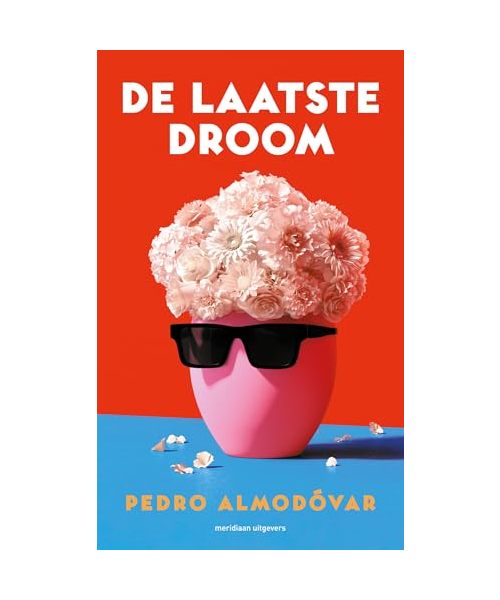 De laatste droom: een gefragmenteerde, onvolledige en enigszins cryptische autobiografie