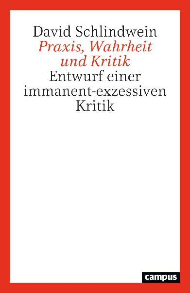 Praxis, Wahrheit und Kritik
