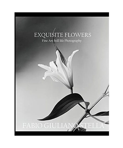 Exquisite Flowers: Fine Art Still Life Photography