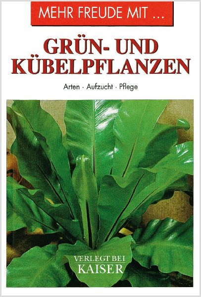 Mehr Freude mit ... Grün- und Kübelpflanzen