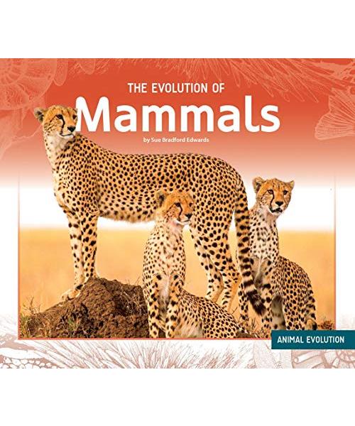 Evolution of Mammals