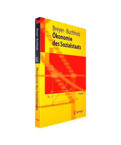 Ökonomie des Sozialstaats