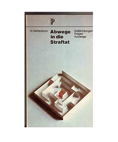 Abwege in die Straftat. Gefährdungen - Folgen - Auswege