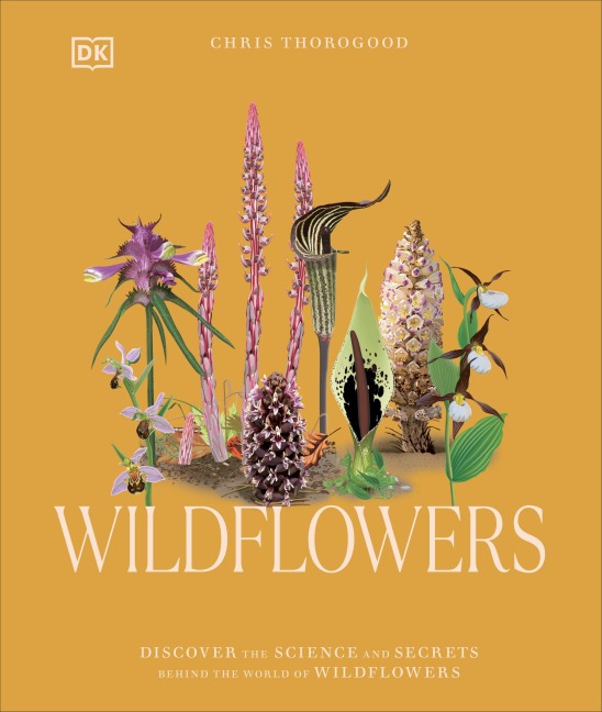 Wildflowers