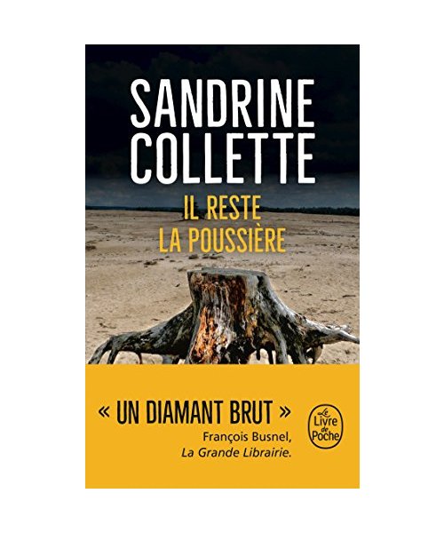 Il reste la poussière