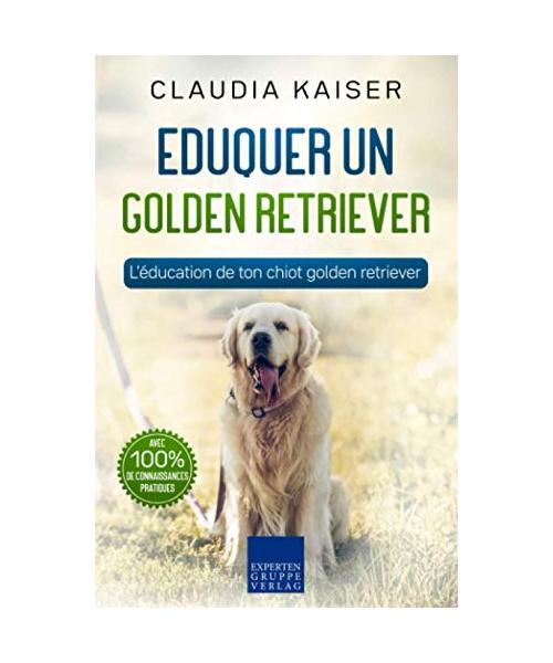 Eduquer un golden retriever: L'éducation de ton chiot golden retriever