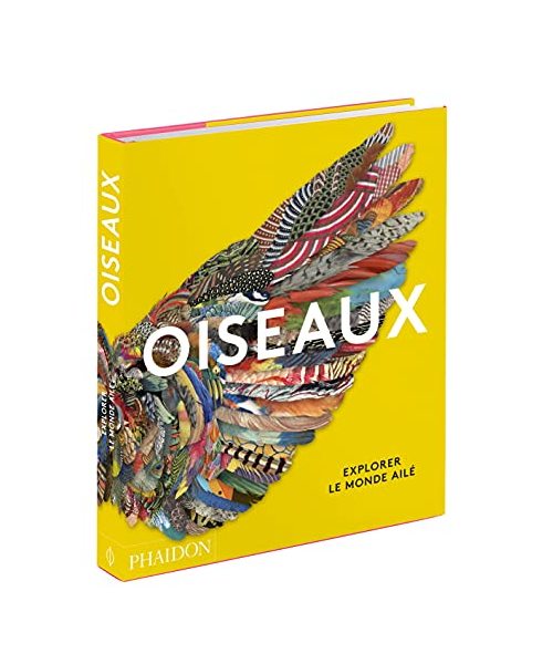 Oiseaux: Explorer le monde ailé