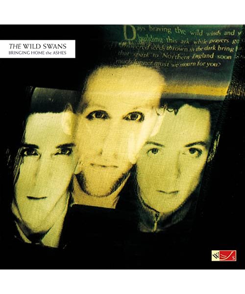 Bringing Home the Ashes [Vinyl LP]