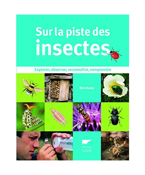 Sur la piste des insectes: Explorer, observer, reconnaître, comprendre
