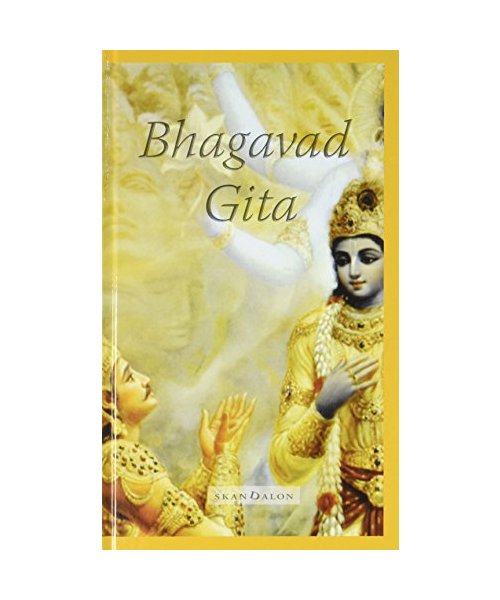 Bhagavad Gita: het klassieke boek van inzicht en bezinning