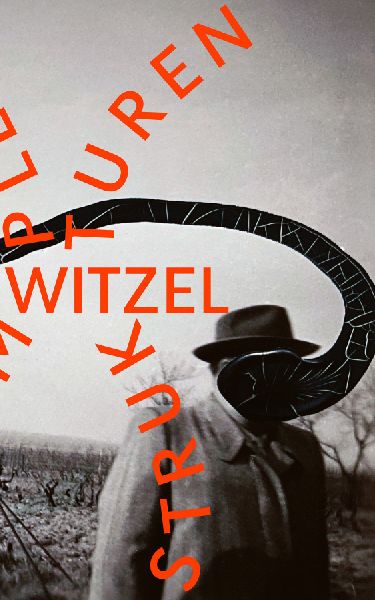 Komplexe Strukturen