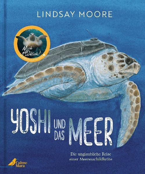 Yoshi und das Meer